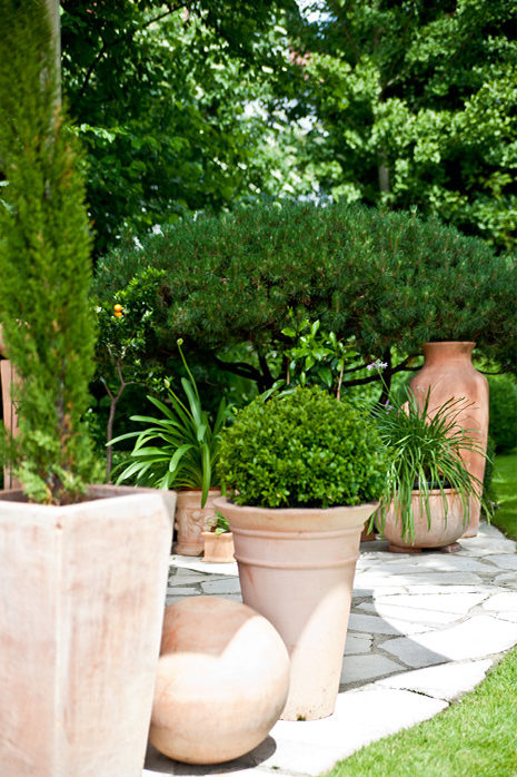 Les plantes en pots en terre cuite créent une ambiance méditerranéenne sur la terrasse